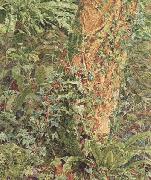 Albert Joseph Moore,ARWS Study of an Ash Trunk (mk46) oil on canvas